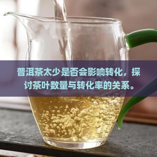 普洱茶太少是否会影响转化