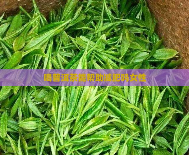 喝普洱茶能帮助减肥吗女性