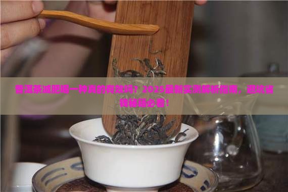 普洱茶减肥喝一种品牌