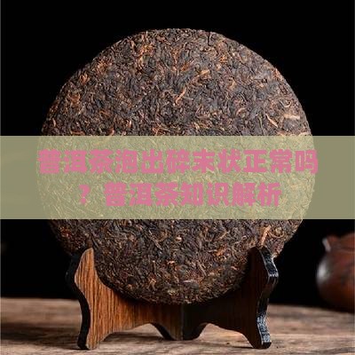 普洱茶泡出来是碎末状的吗