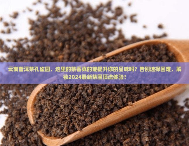 云南普洱茶孔雀园