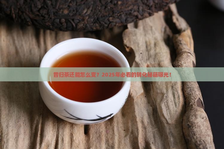 昔归茶的转化空间