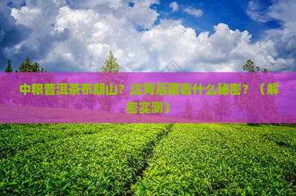 中粮普洱茶布朗山