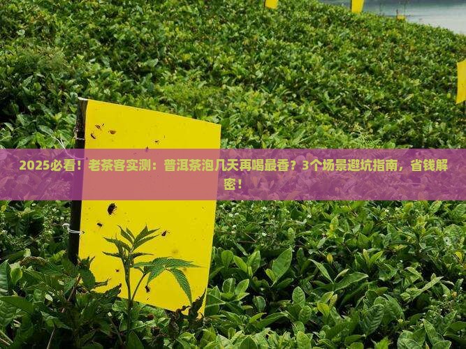 普洱茶泡几天再喝好 普洱茶泡几天再喝好