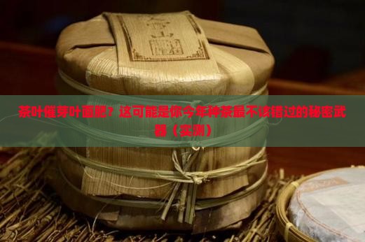 茶叶催芽叶面肥