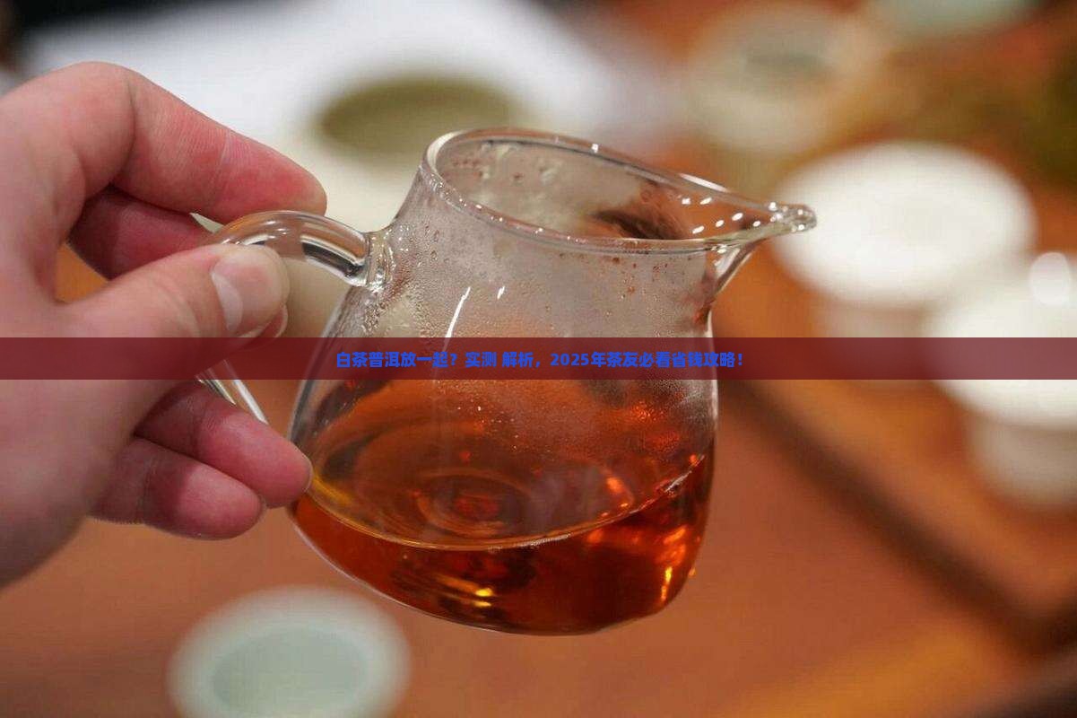 白茶普洱能否放在一起