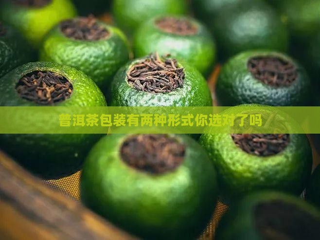 普洱茶包装有两种形式