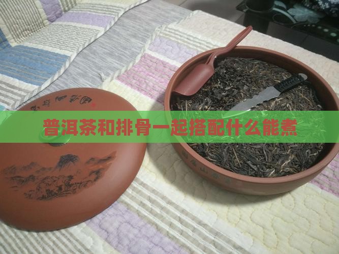普洱茶和什么东西一起能煮