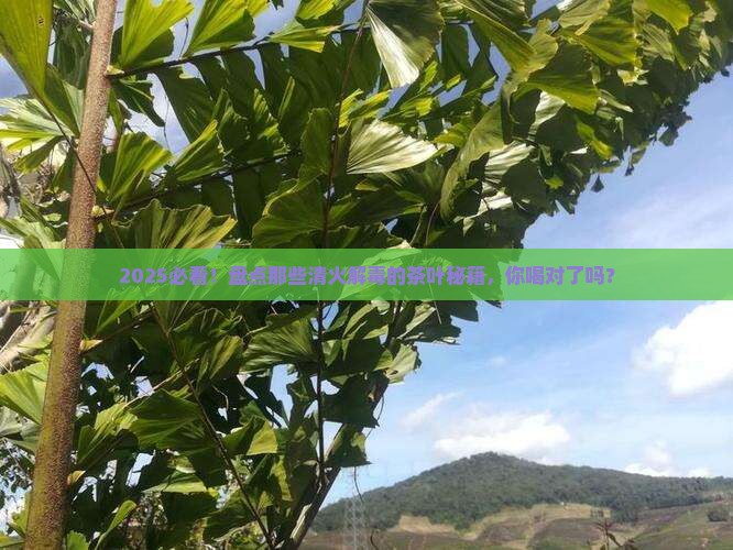 什么茶叶清火解毒