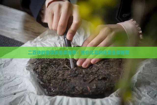 二百块的普洱茶生茶推荐