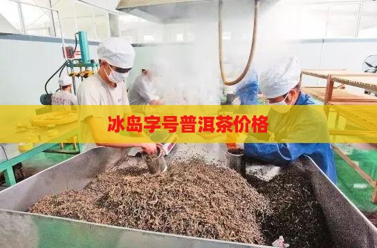 冰岛俸字号茶价格