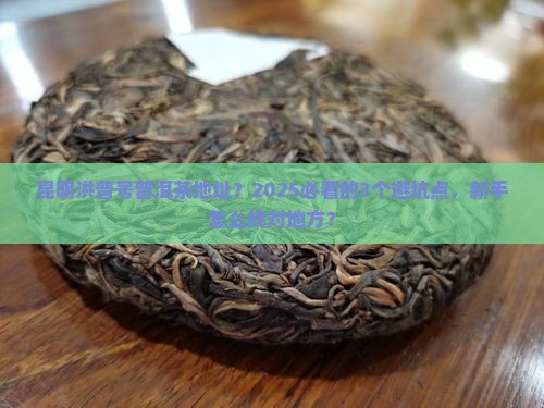 昆明洪普号普洱茶地址