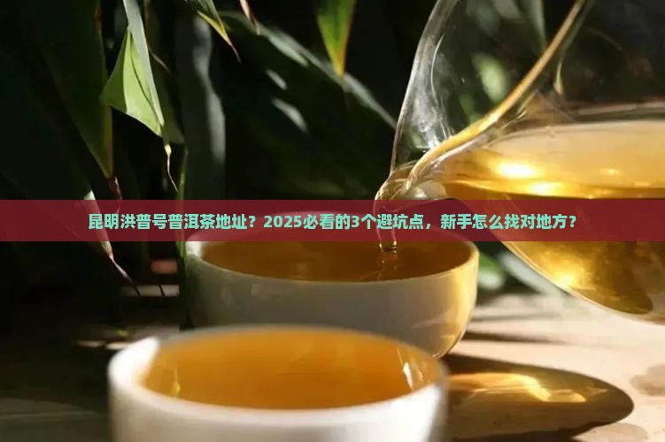 昆明洪普号普洱茶地址
