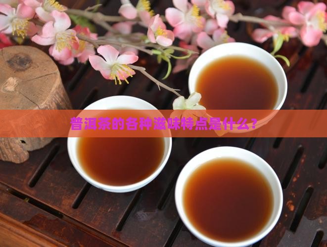 普洱茶的各种滋味特点是什么
