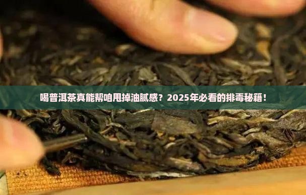 喝普洱茶能排解油脂吗