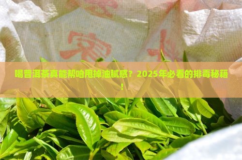 喝普洱茶能排解油脂吗