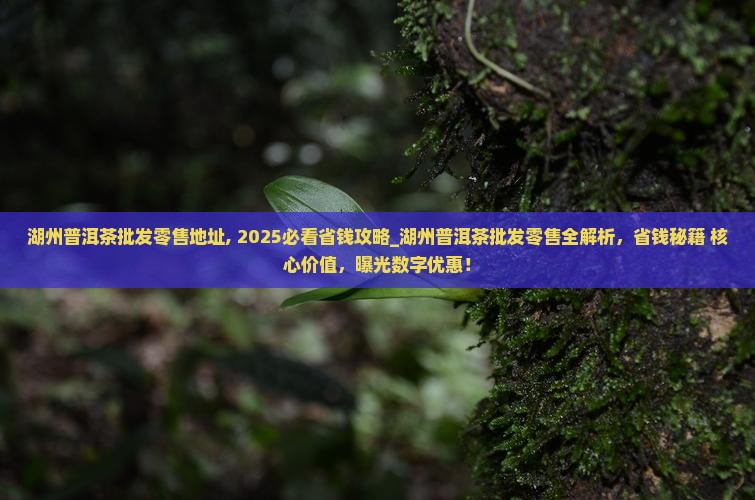 湖州普洱茶批发零售地址