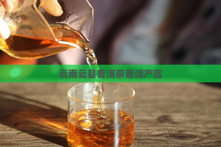 云南云县大理普洱茶