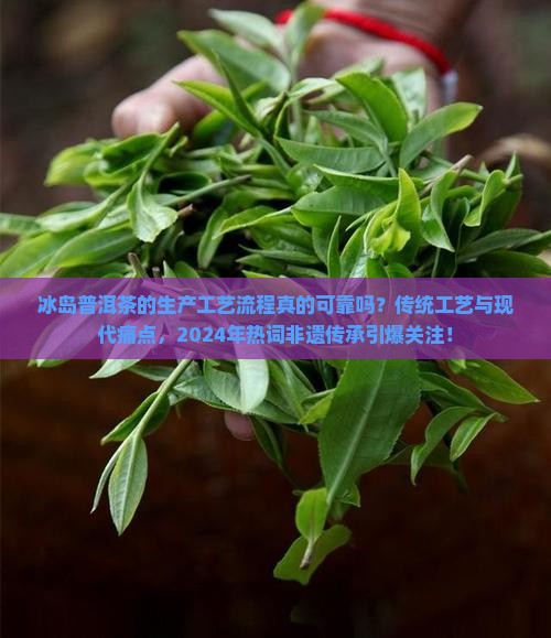 冰岛普洱茶的生产工艺流程