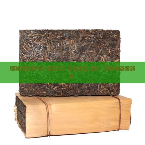 哪种普洱茶不太苦和涩