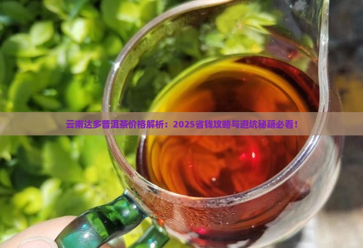云南达多普洱茶价格