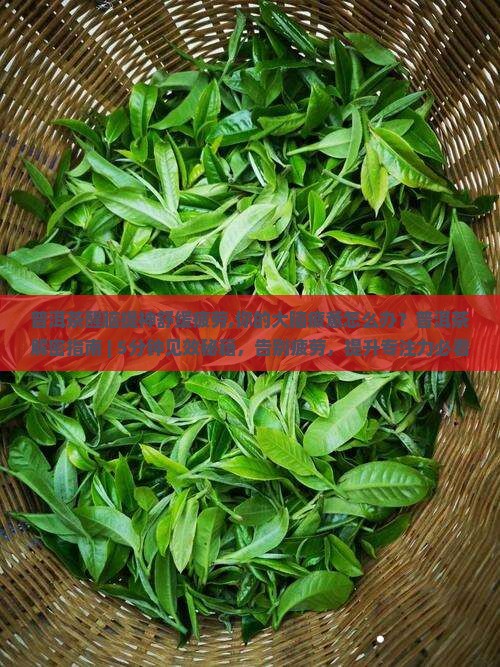 普洱茶醒脑提神舒缓疲劳
