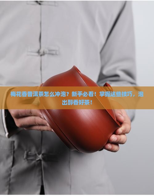 梅花香普洱茶怎么样冲泡