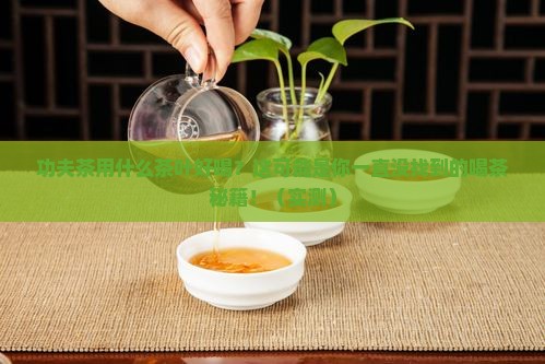 功夫茶用什么茶叶好喝
