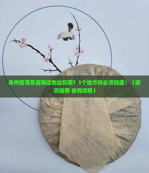泉州普洱茶直销店地址在哪里
