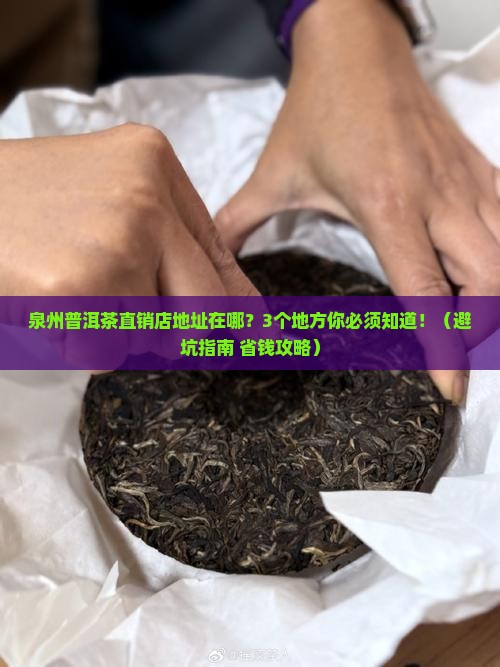 泉州普洱茶直销店地址在哪里