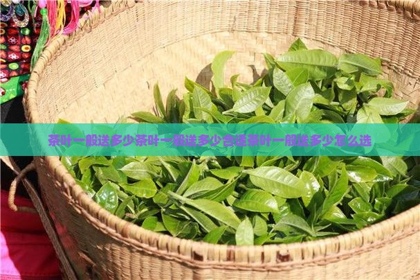 茶叶一般送多少
