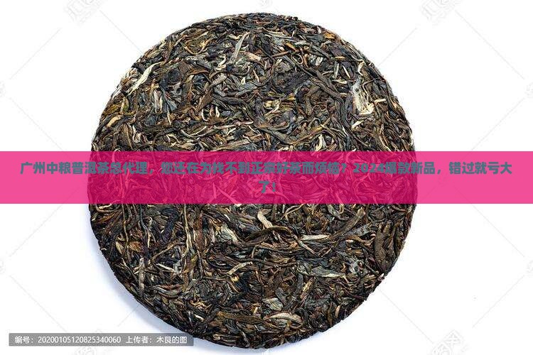广州中粮普洱茶总代理