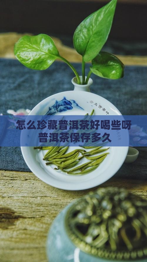 怎么珍藏普洱茶好喝些呀