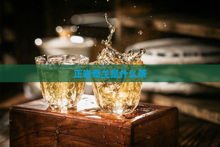 正岩奇兰是什么茶