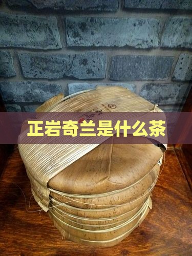 正岩奇兰是什么茶