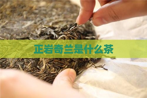正岩奇兰是什么茶