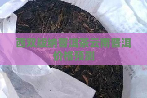 西双版纳普洱茶价格预测