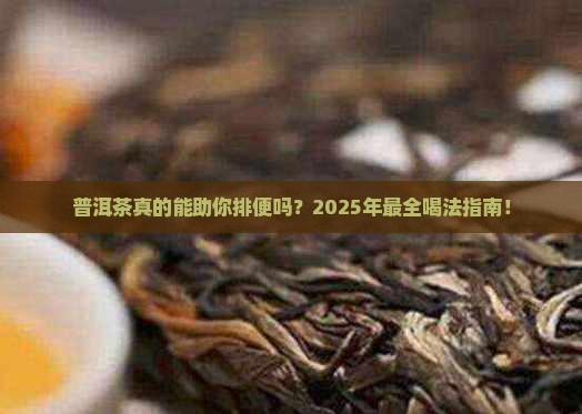 普洱茶喝有助于排便吗好吗