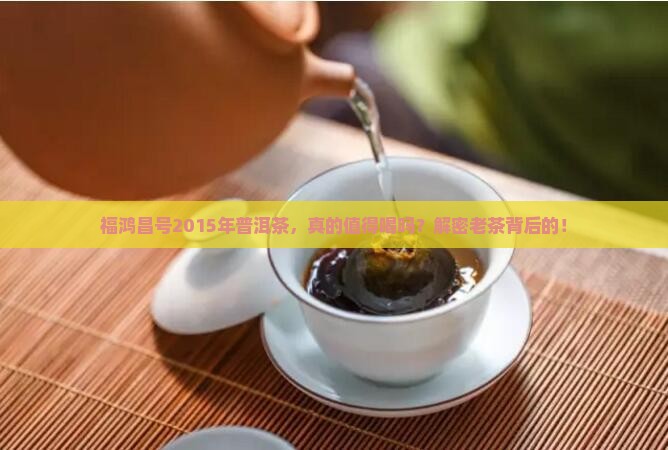 福鸿昌号2015年普洱茶