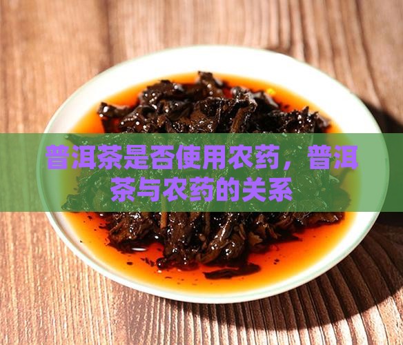 普洱茶熟打农药吗