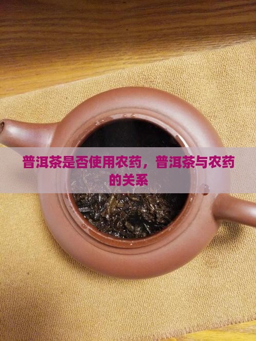 普洱茶熟打农药吗