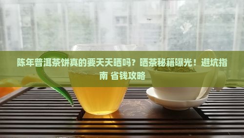 陈年普洱茶饼需要经常晒吗