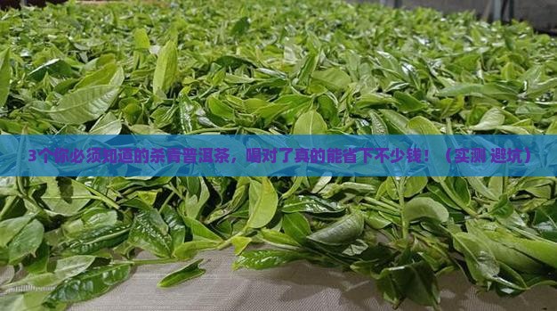 杀青普洱茶的功效与作用是什么