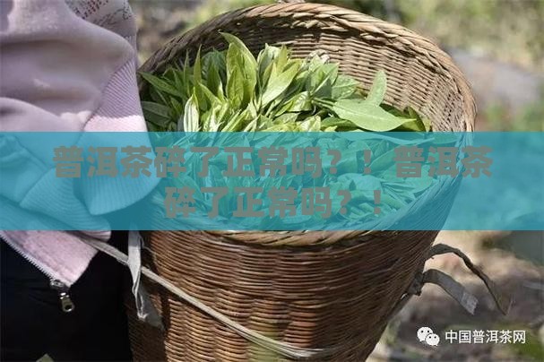 普洱茶碎了正常吗