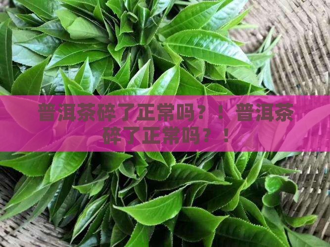 普洱茶碎了正常吗