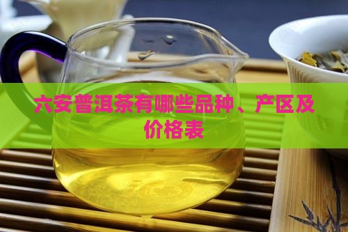六安普洱茶有哪些