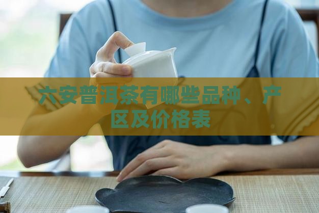 六安普洱茶有哪些