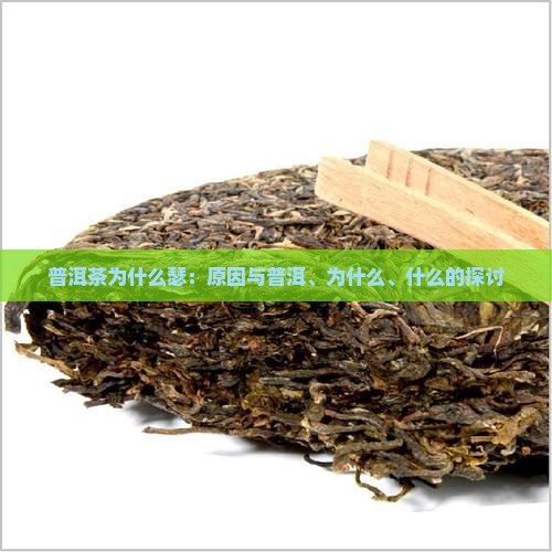 普洱茶为什么瑟