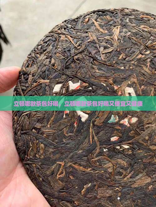 立顿哪款茶包好喝