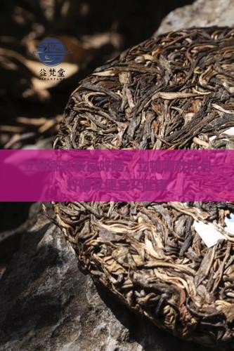 立顿哪款茶包好喝